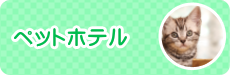 東大阪市・八尾市のホームドクター、いまい動物病院です。